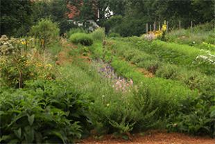 Garten.jpg